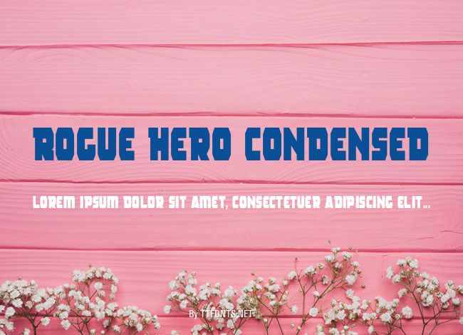 Rogue Hero Condensed example